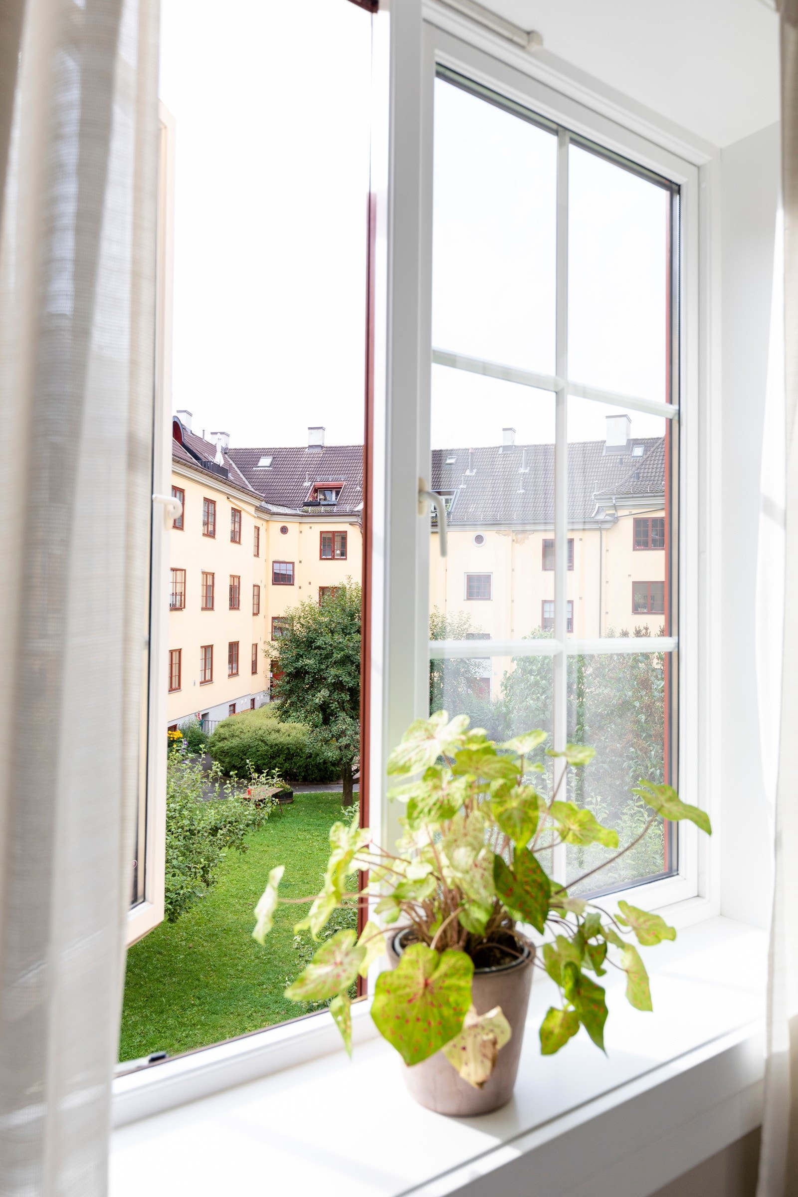 Meget hyggelig utsyn fra hovedsoverommet mot bakgården. Galleribilde