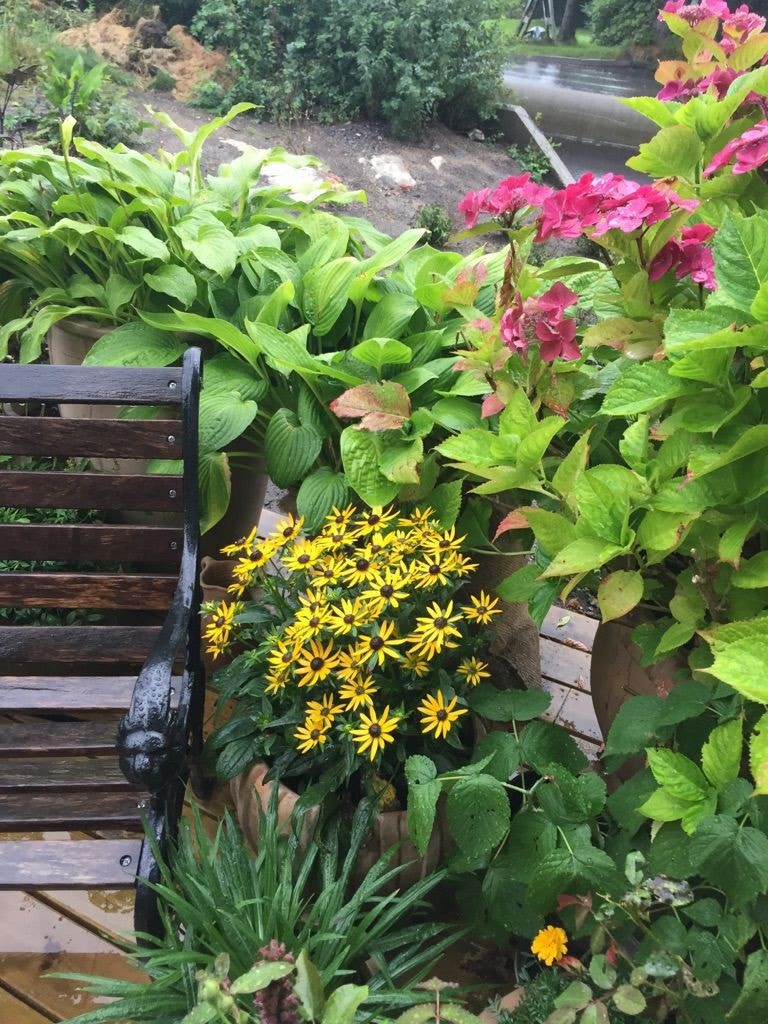 Selges eget bildet. Galleribilde