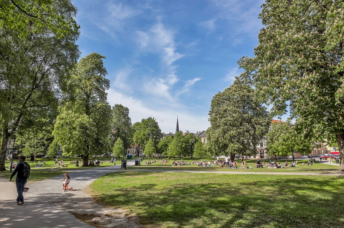 Sofienbergparken ligger i umiddelbar nærhet. Galleribilde