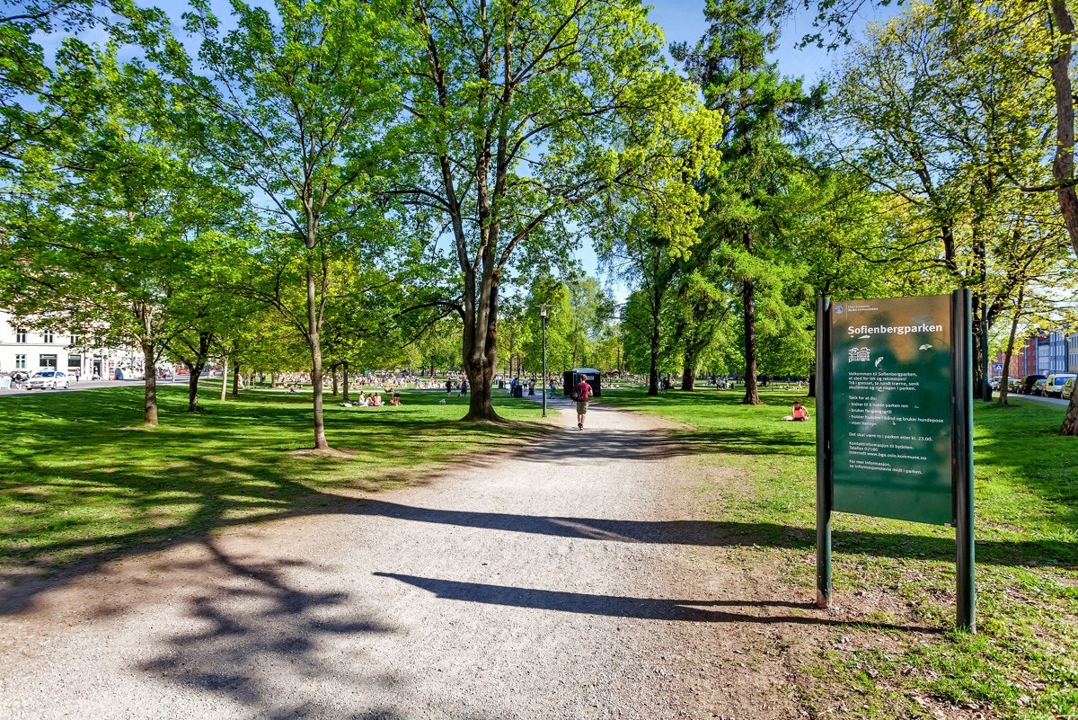 Her er alt tilrettelagt for urbant parkliv. Galleribilde