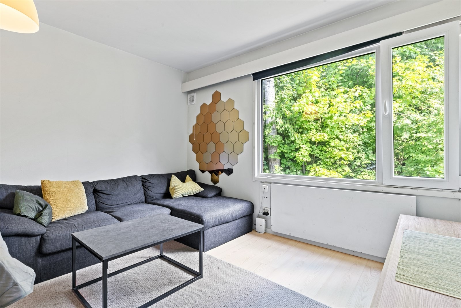 Stue/soverom. Galleribilde
