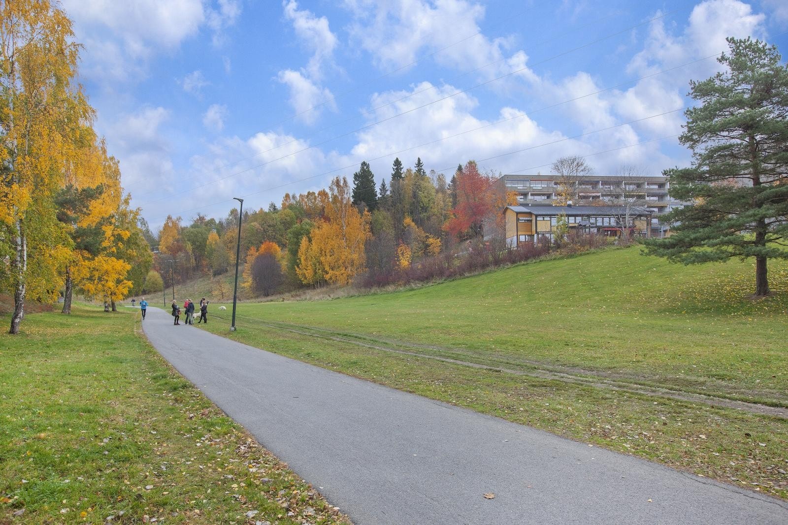 Meklenborg borettslag ligger inntil Hovseterdalen som gir mange muligheter for utfoldelse i det fri både i vinter og sommersesongen. Dalen har en nesten 2 km lang asfaltert sykkel/gangsti hvor mange trener Galleribilde