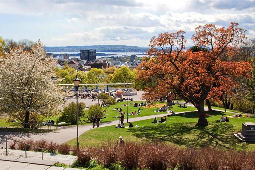 Områdebilde fra St. Hanshaugen - fotograf Leif-Harald Ruud Galleribilde