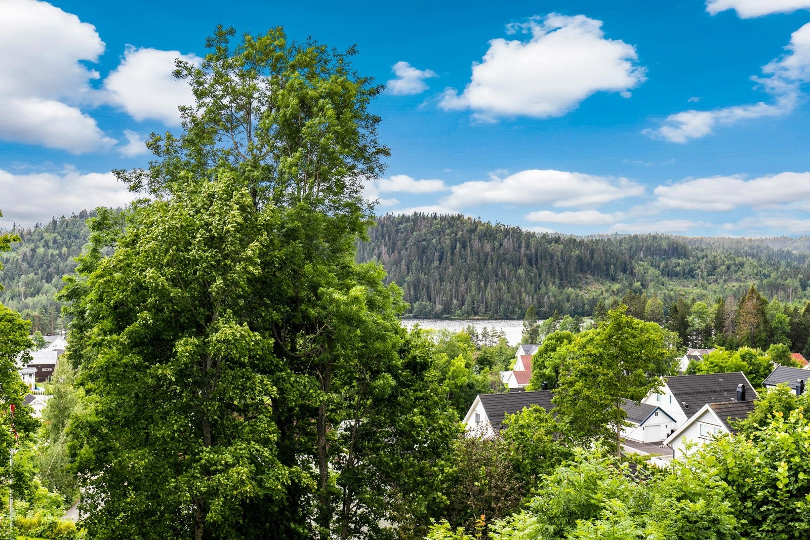 Boligen grenser til hekk og annen vegetasjon. Galleribilde