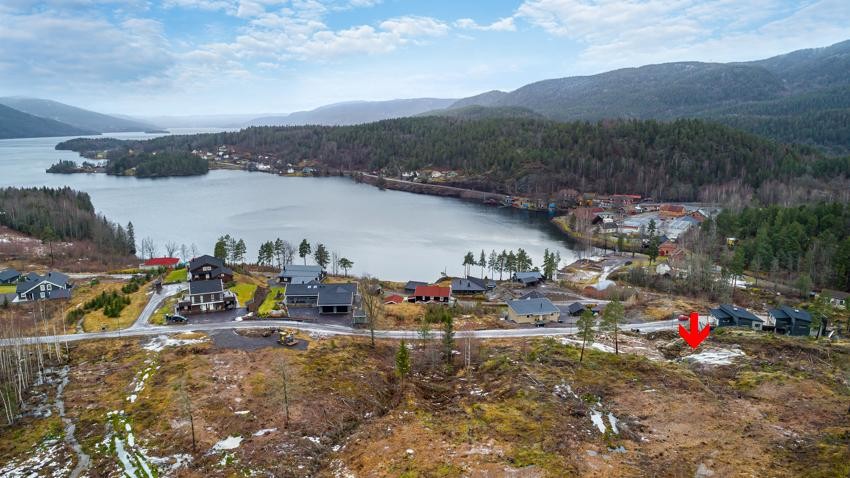 Bilde fra tomten og nærområdet Galleribilde