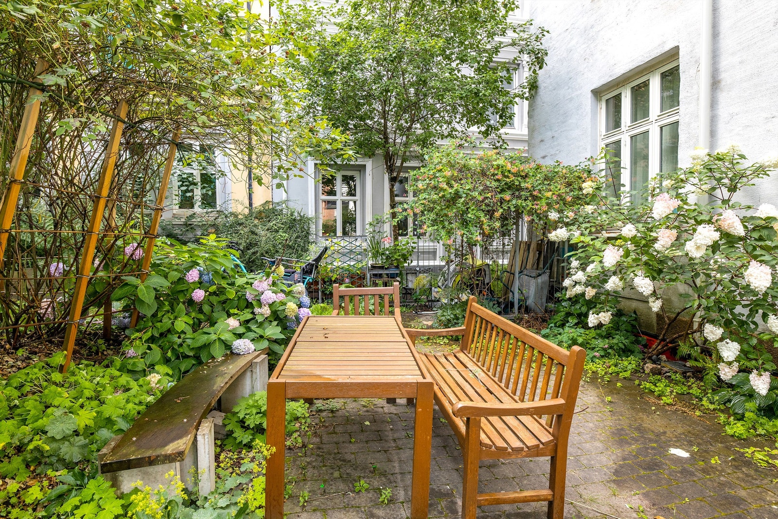 Bakgård. Galleribilde