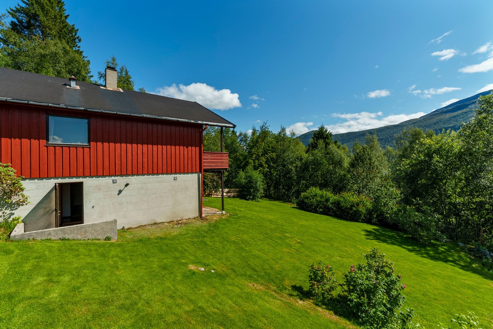 Stor usjenert hage med opparbeidet plen, diverse blomster og busker. Galleribilde