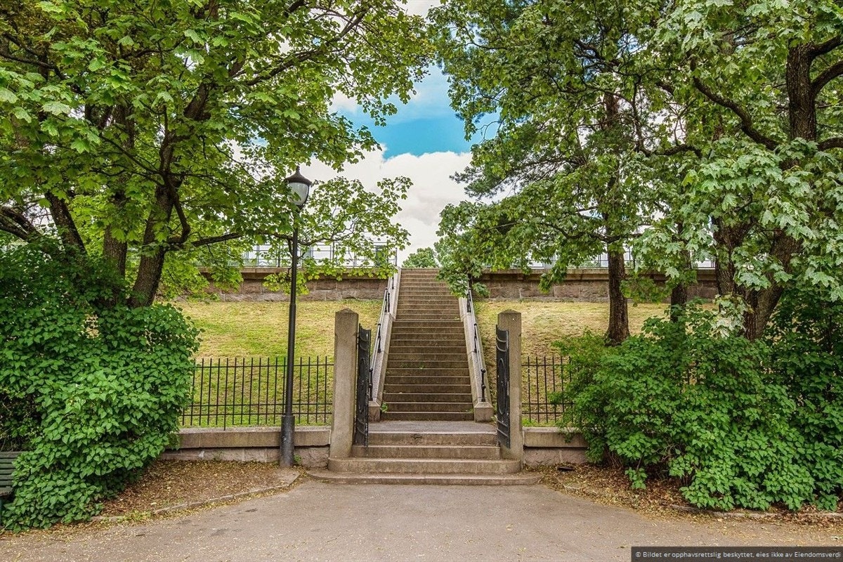 Nærområde Galleribilde