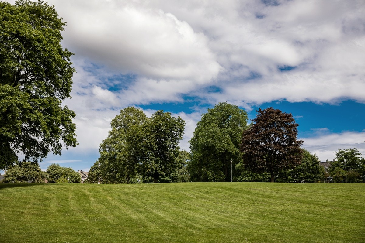 Nærområde Galleribilde