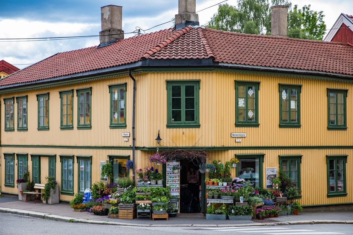 Nærområde Galleribilde