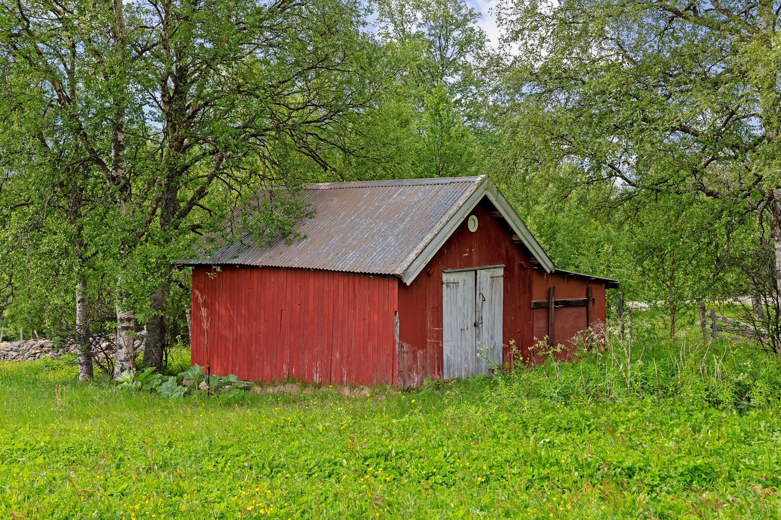 Sommerfjøs Galleribilde
