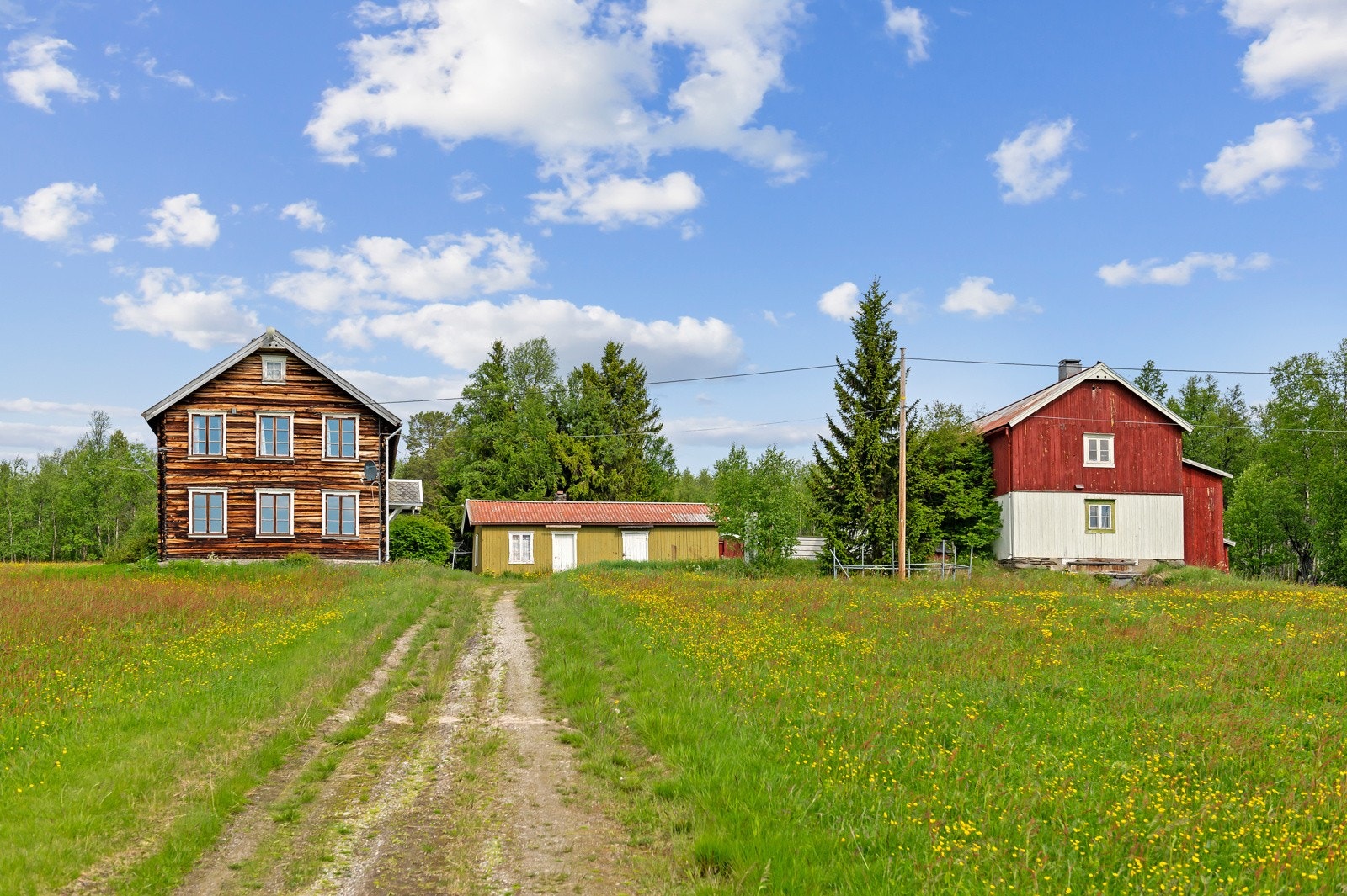 Gården Åsen/Brattåsmyra/Åsløkja i Galåa Galleribilde