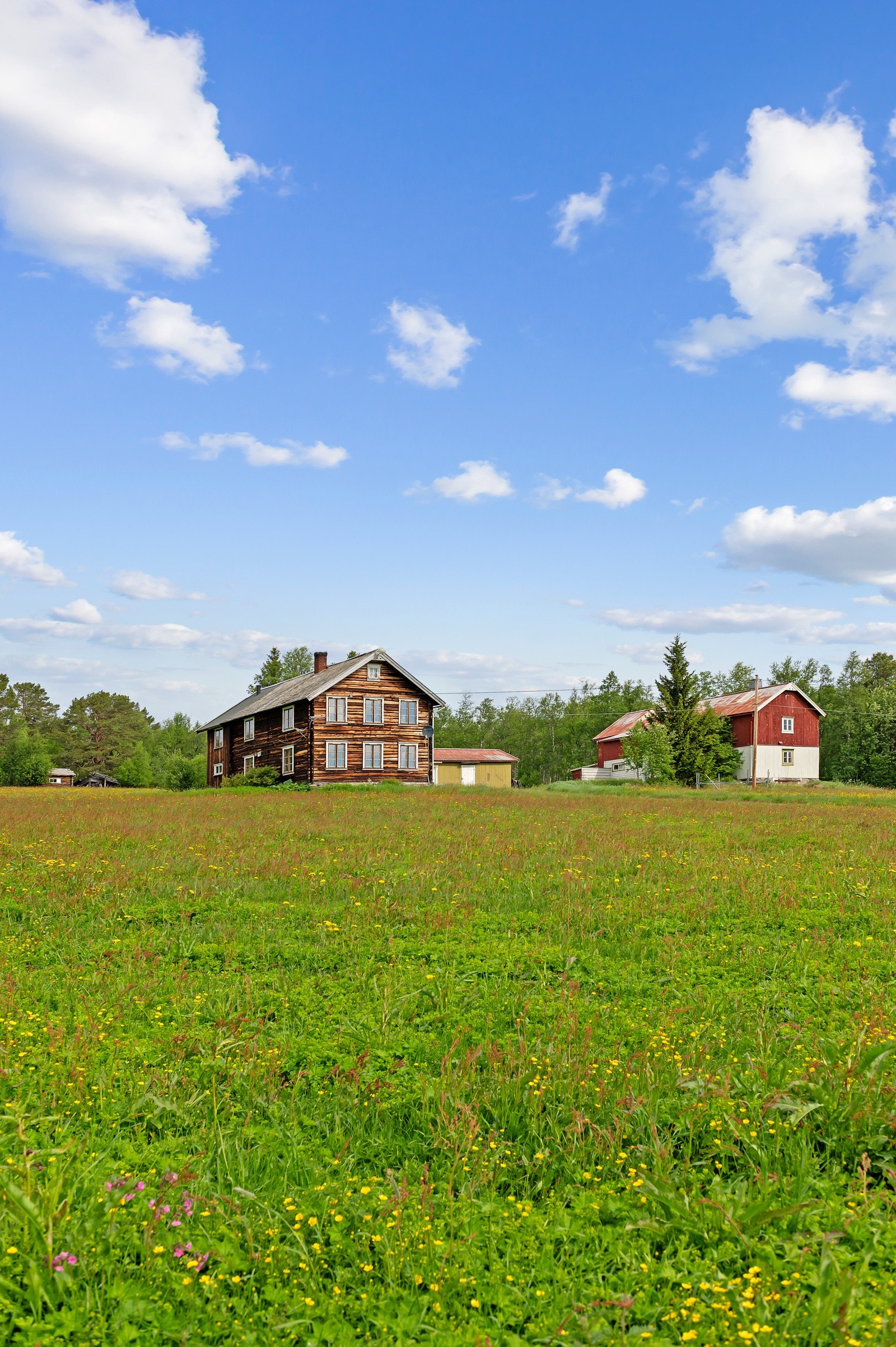 Gården Åsen/Brattåsmyra/Åsløkja i Galåa Galleribilde