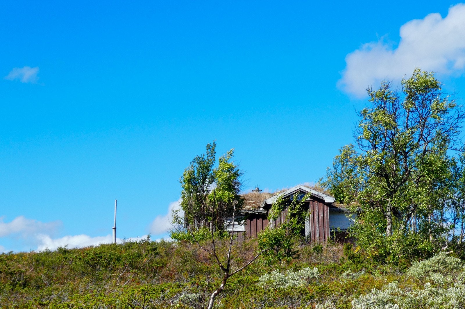 Hytta ved Storfjellsjøen Galleribilde