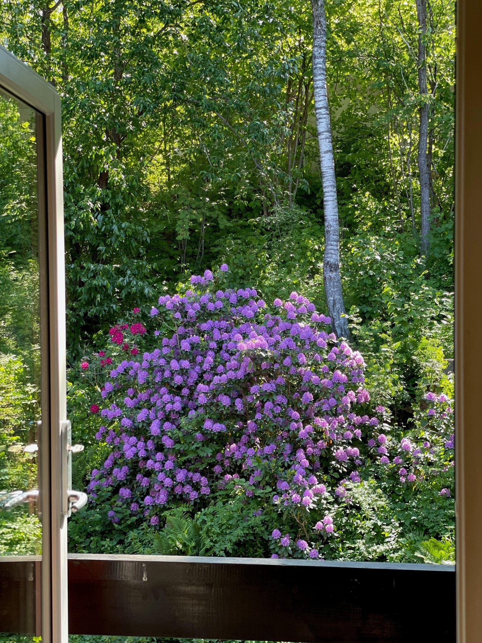 Nydelig beplantet fellesområde. Galleribilde