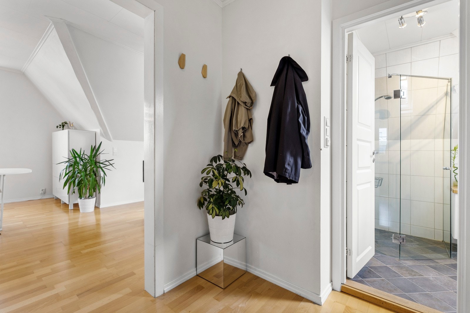 Naturlig planløsning med adkomst til alle rom fra entréen. Galleribilde