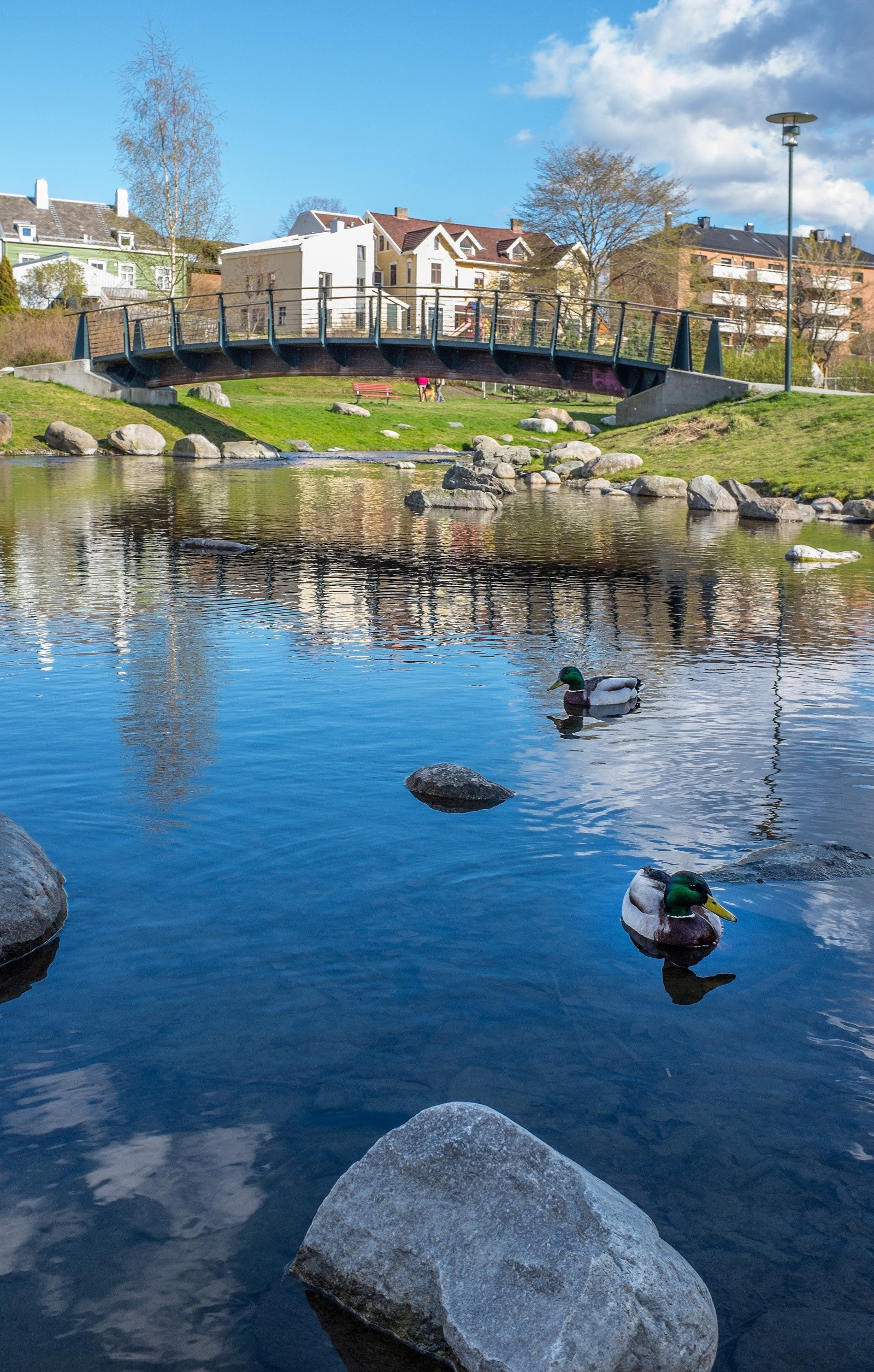 Møllebekken, som forbinder Ilevollen med Ilsvika renner rolig gjennom området, i små kulper, ut mot Trondheimsfjorden. Galleribilde