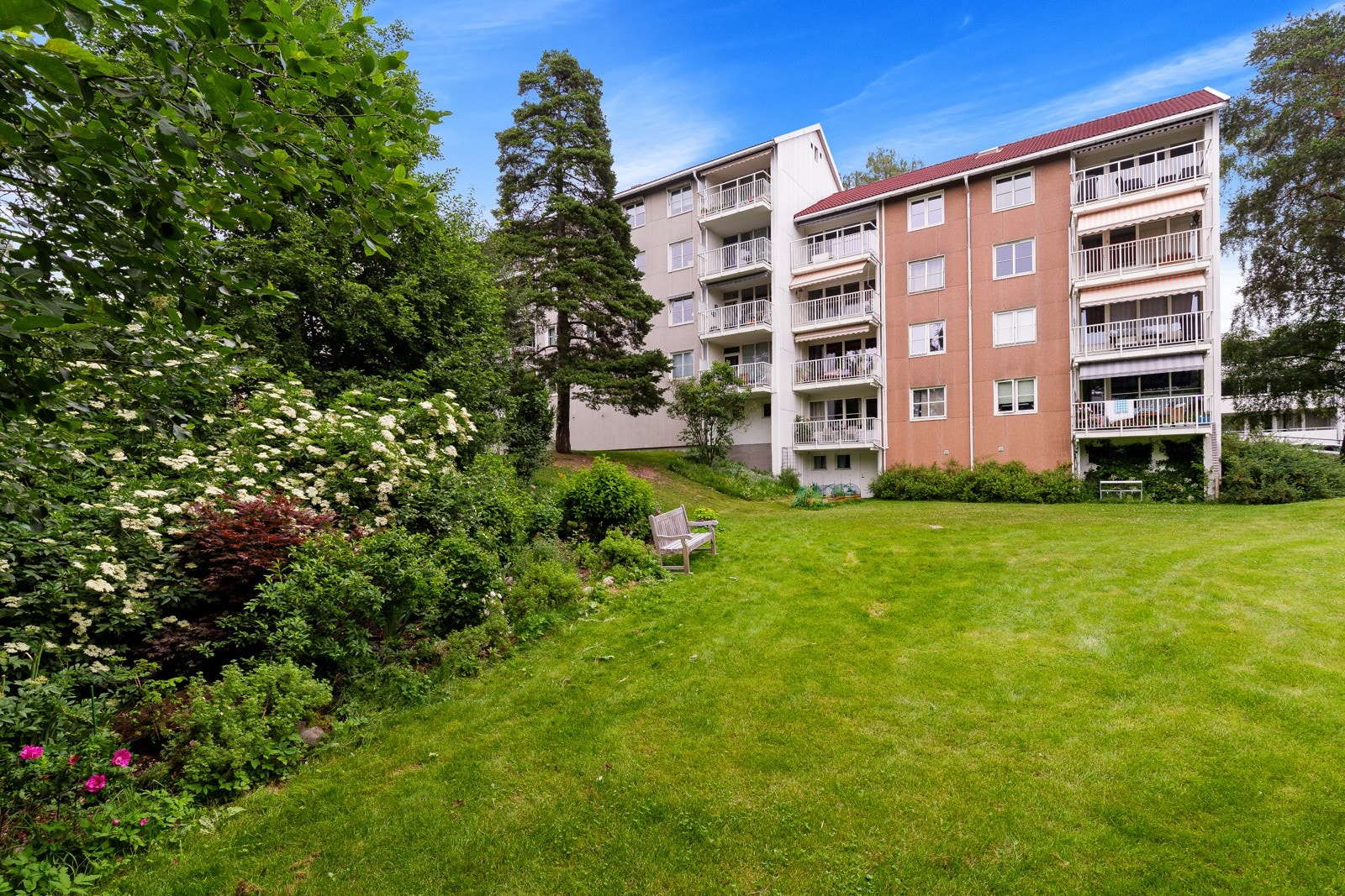 Pent opparbeidet fellesareal med stor, frodig gressplen, variert beplantning, parsellkasser for beplantning og sittegrupper. Galleribilde