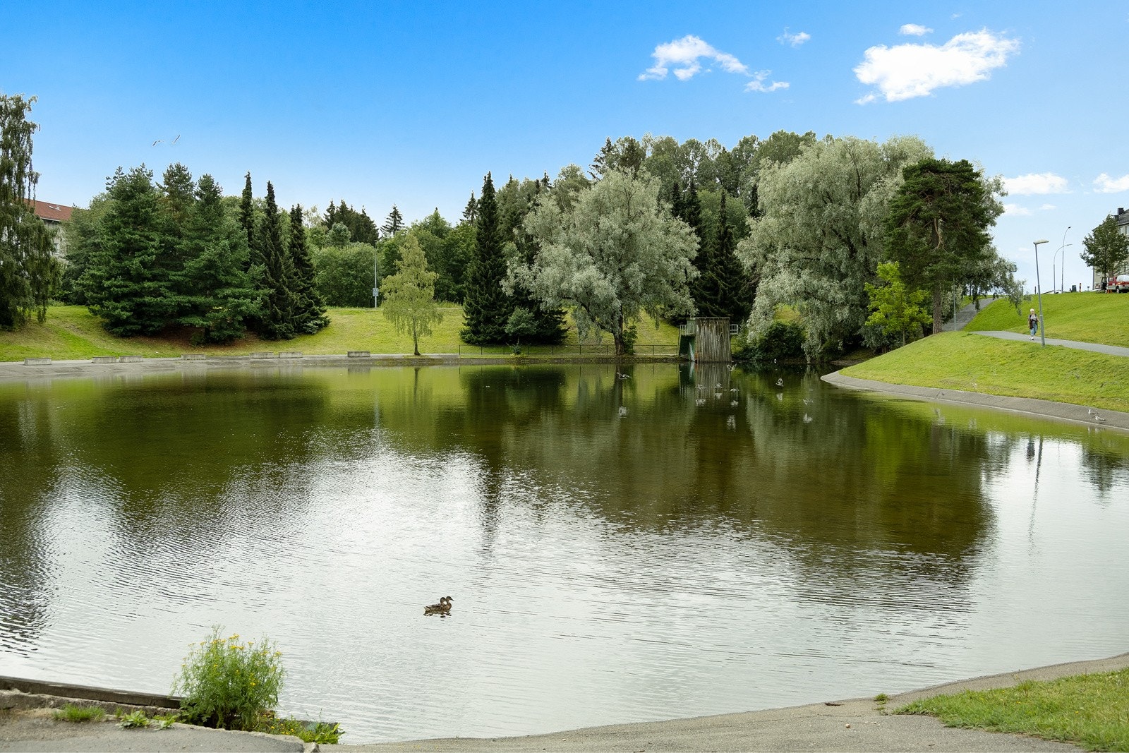Idylliske Årvolldammen som ligger ca. 7 min fra boligen. Galleribilde