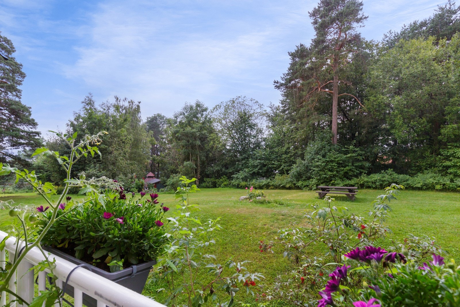 Utsyn fra balkongen med sjøgløtt på vinterstid. Galleribilde