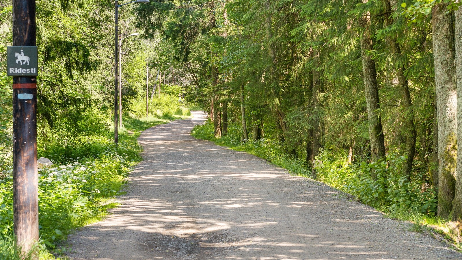 Her kan man senke skuldrene og nyte naturen. Galleribilde