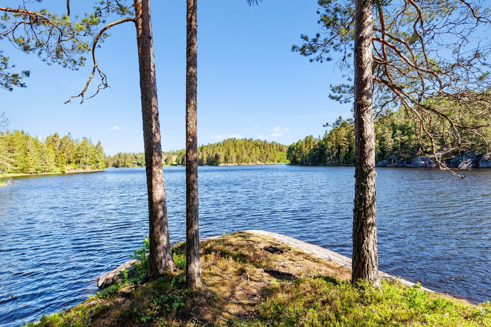 Her eier du din egen odde med fantastisk natur Galleribilde