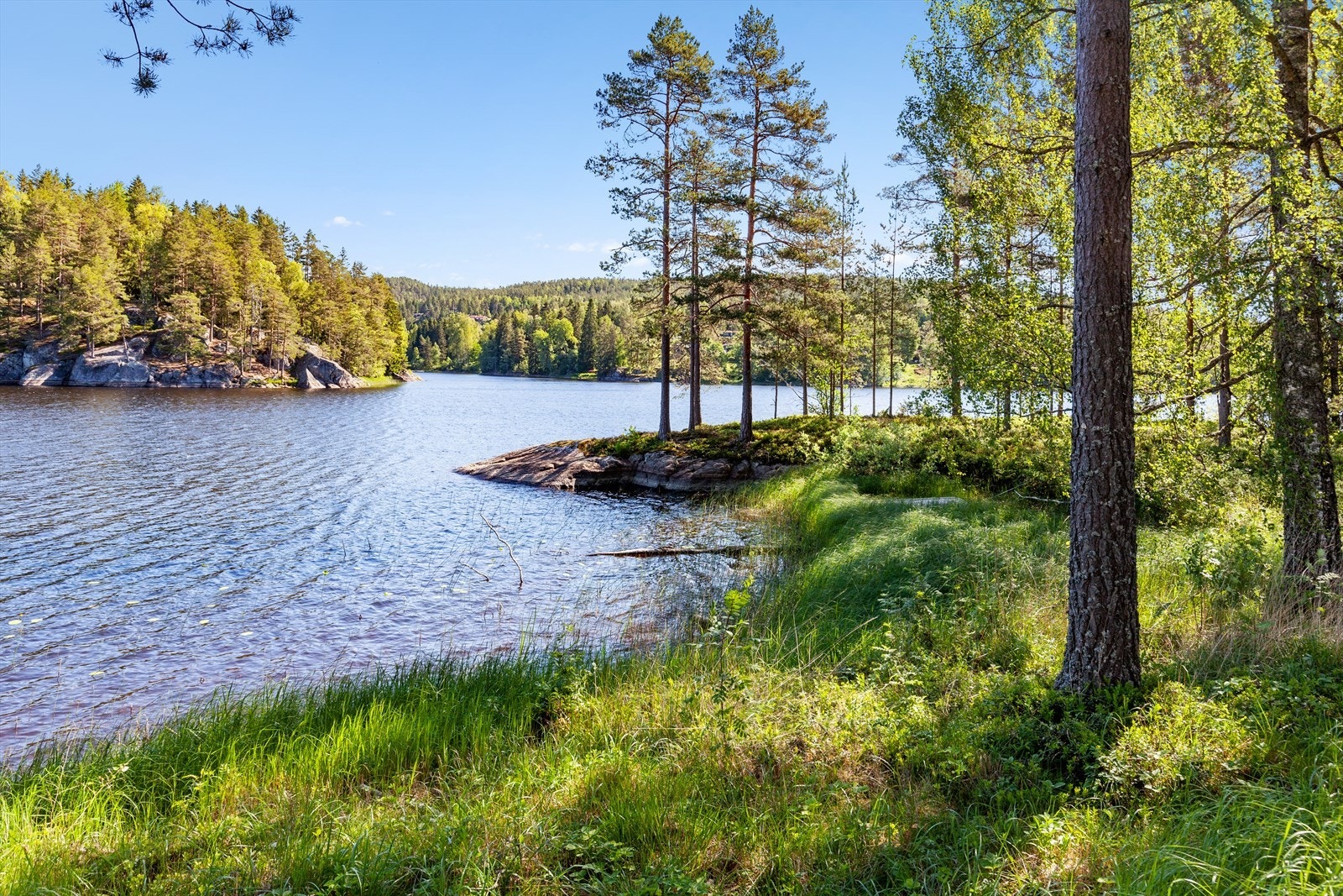 Eiendommen har hatt den samme eieren i alle år Galleribilde