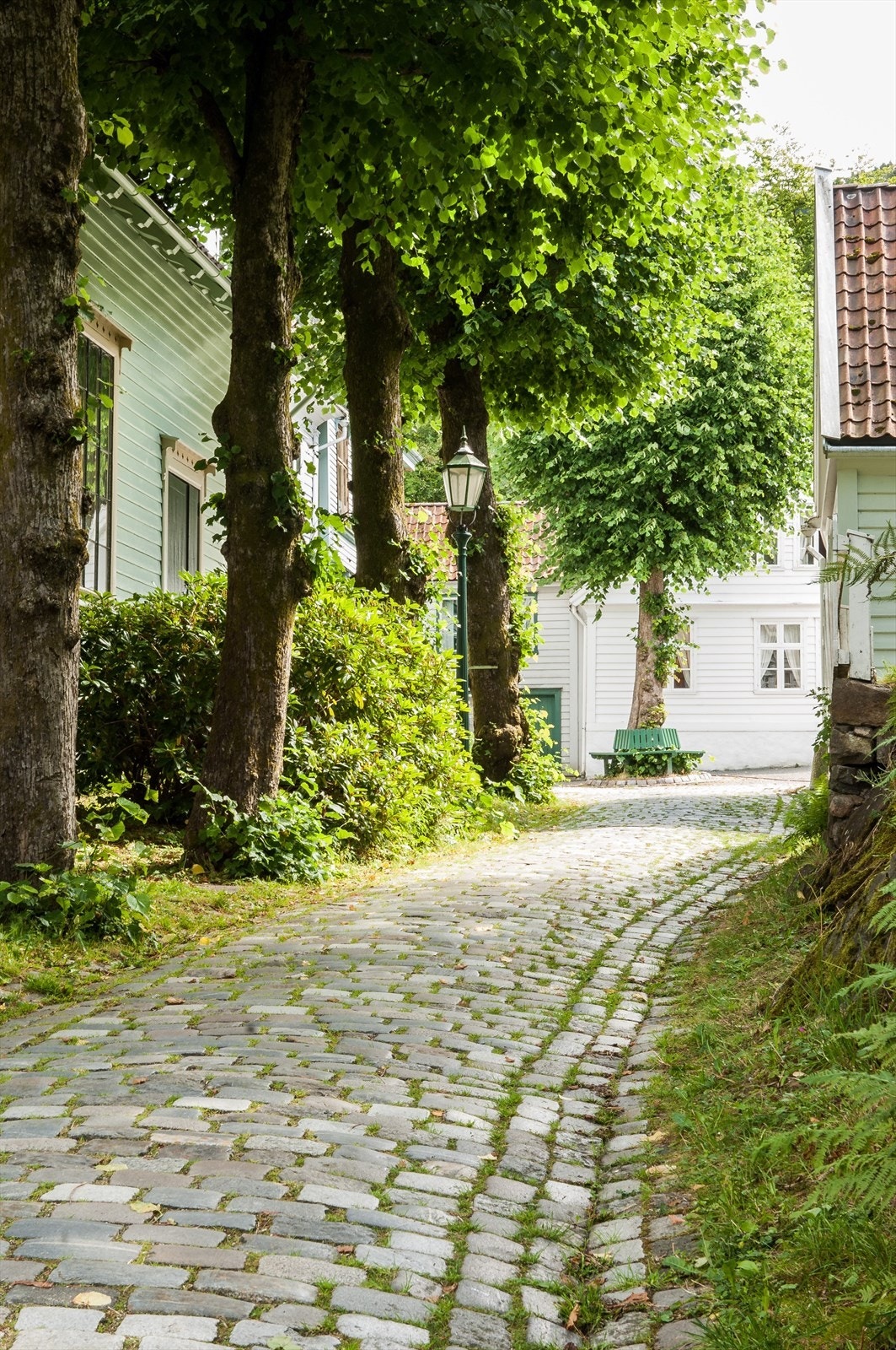 Gamle Bergen Galleribilde