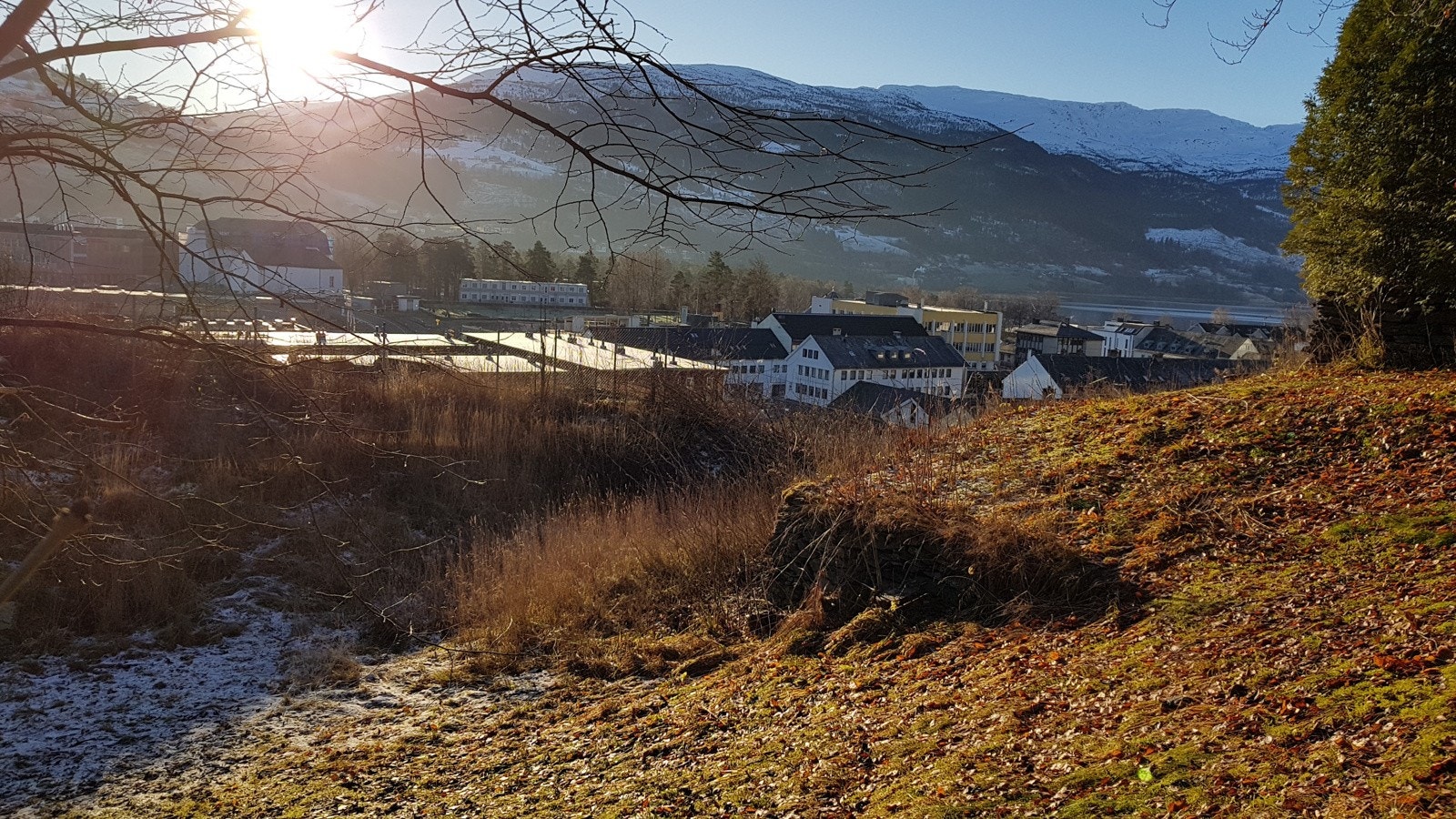 Proaktiv Eiendomsmegling - Tomten Galleribilde