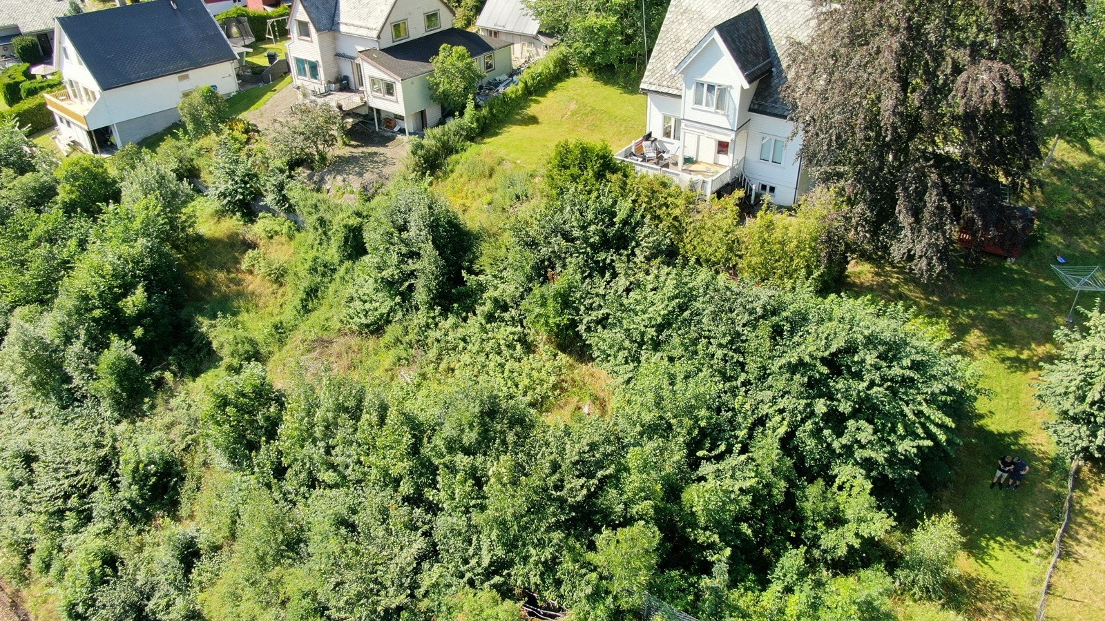 Proaktiv Eiendomsmegling - Tomten er naturtomt/råtomt som må opparbeides Galleribilde