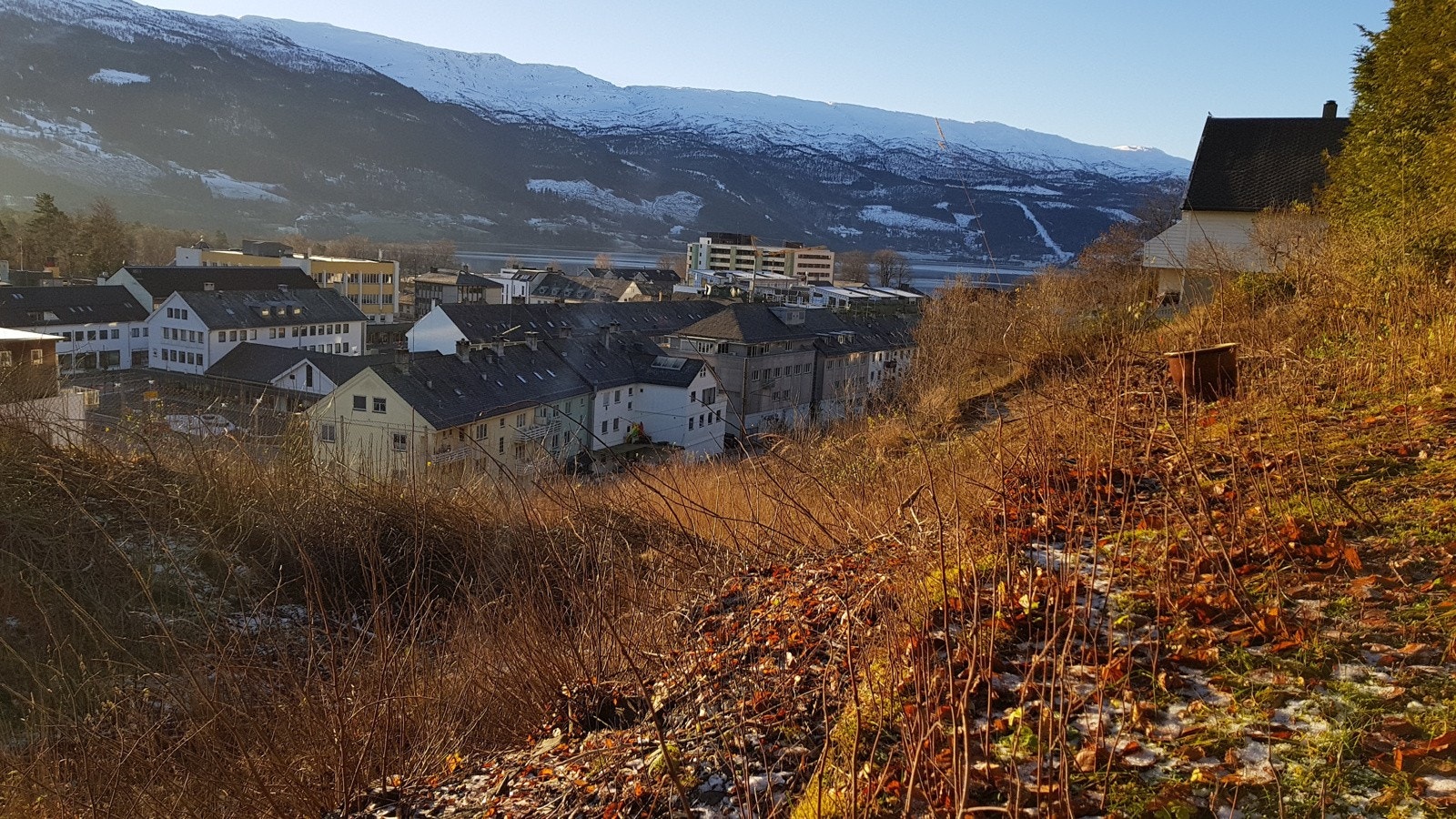 Proaktiv Eiendomsmegling - Tomten Galleribilde