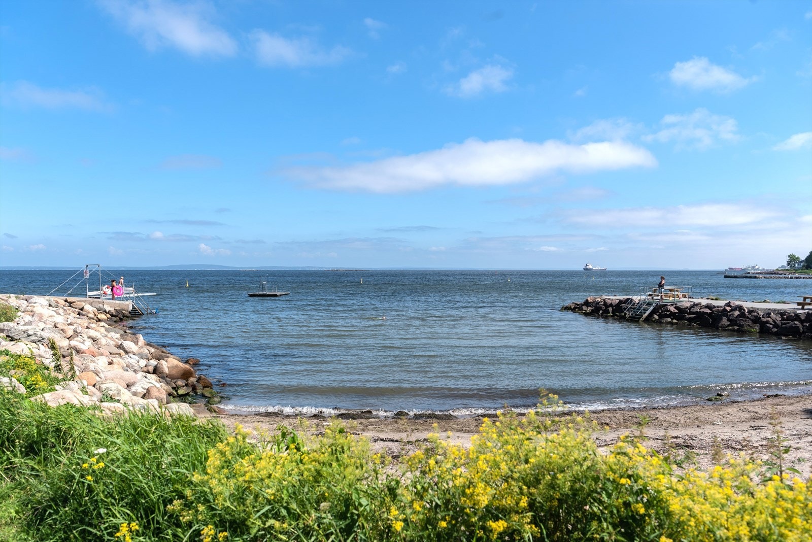 Nærområdet Galleribilde