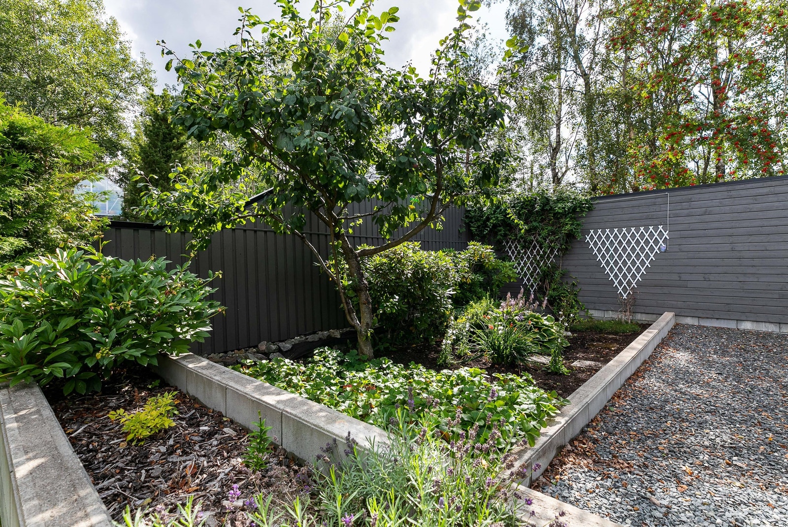 Det er beplantet dekorativt flere steder på tomten. Galleribilde