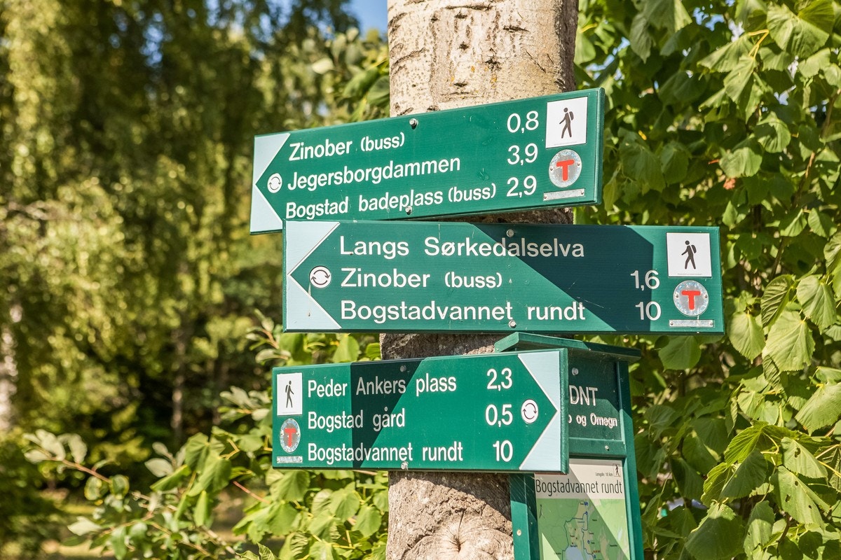 Fra leiligheten har man umiddelbar nærhet til marka med en rekke tur- og friluftsområder innover i Nordmarka. Galleribilde