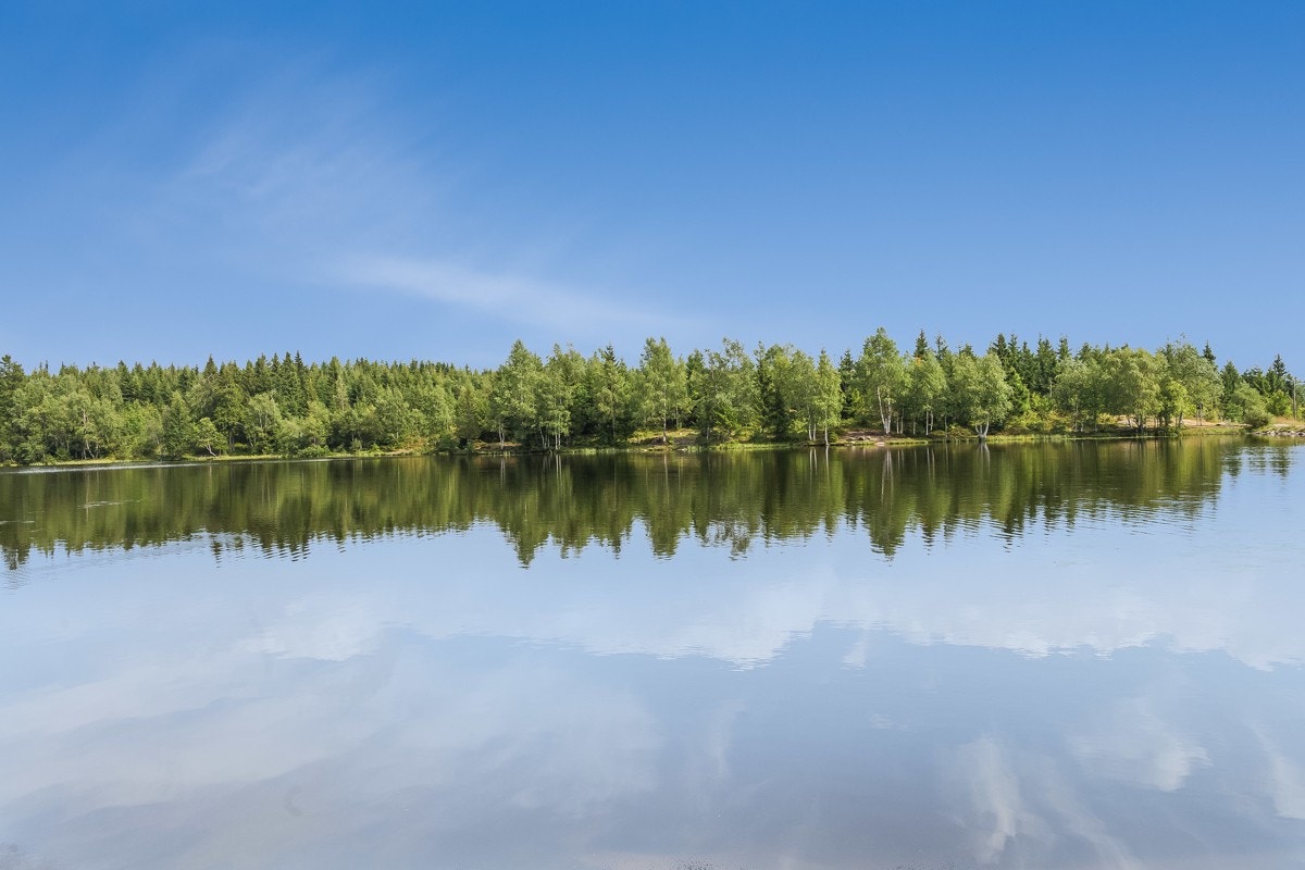 Her bor man tett på noen av Osloområdets flotteste naturopplevelser. Galleribilde