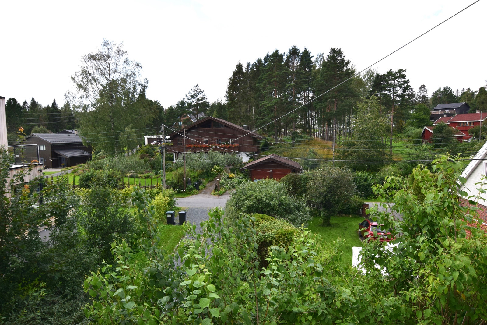 Utsikt fra huset. Galleribilde