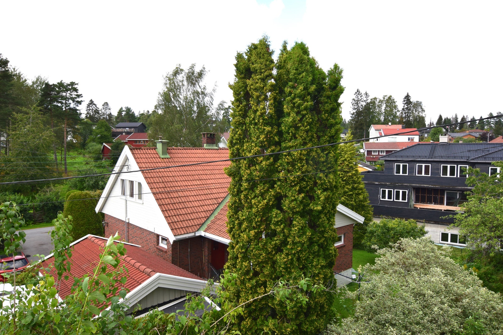 Utsikt fra huset. Galleribilde