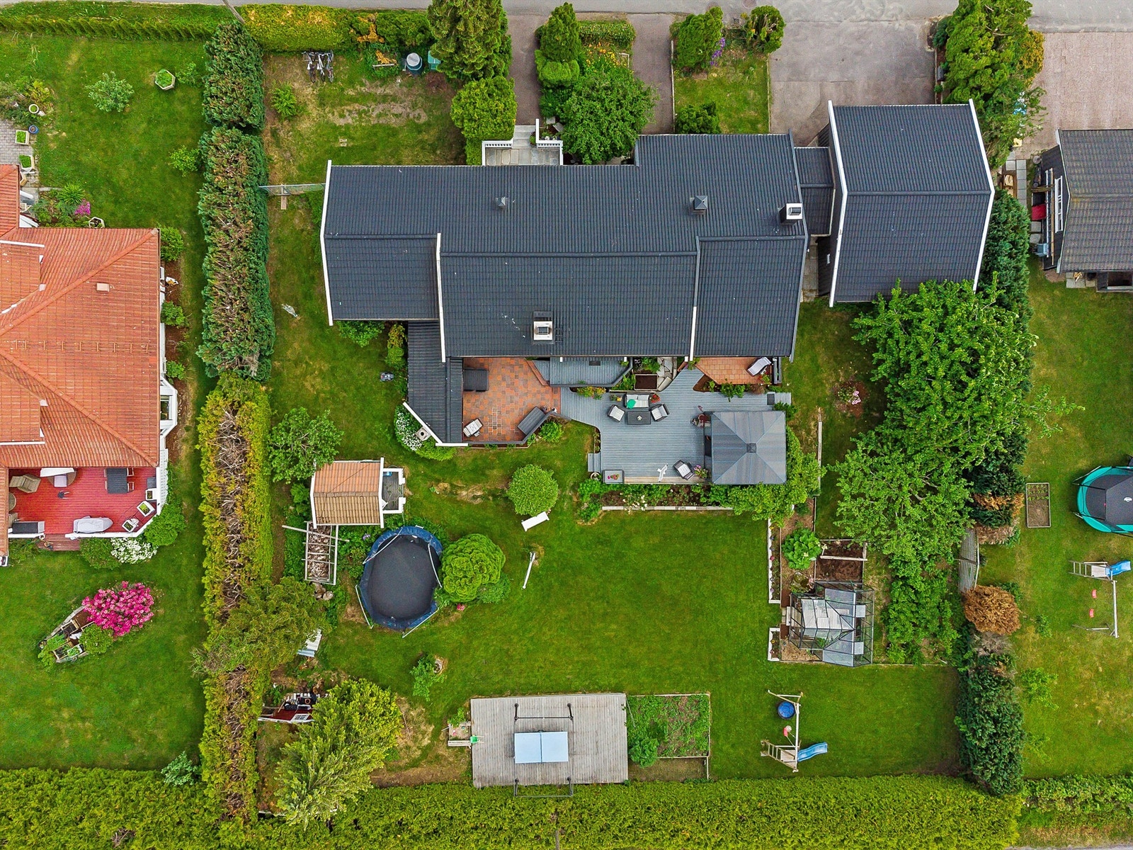 Sett ovenfra Galleribilde