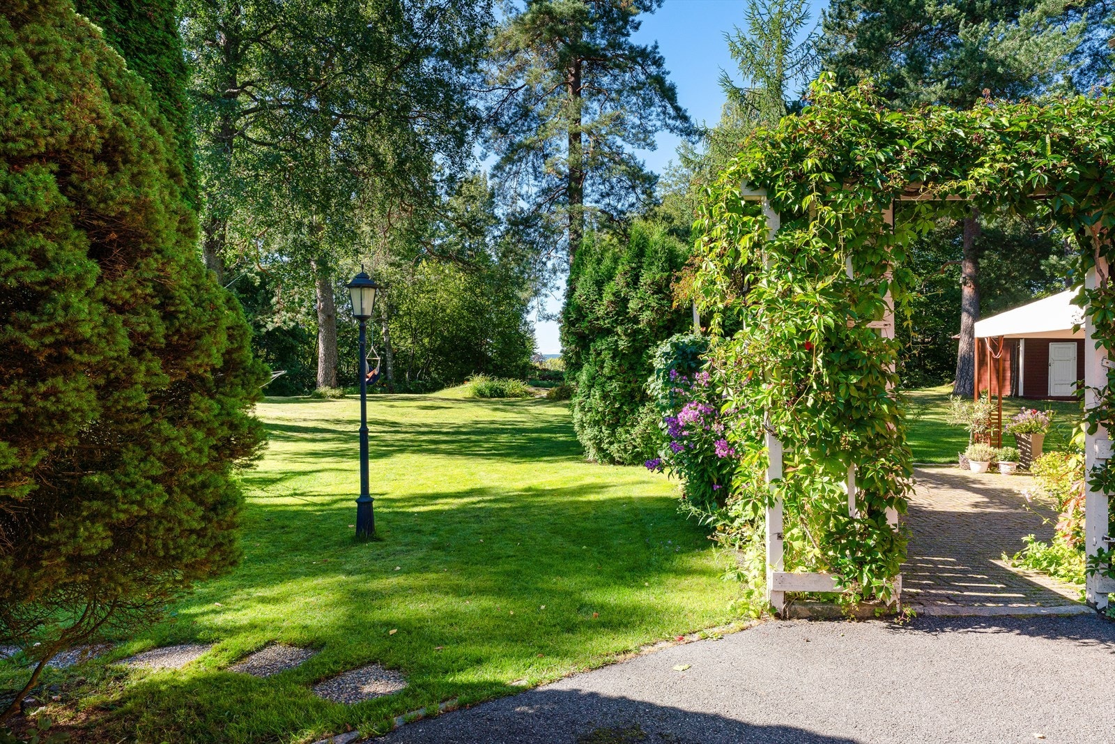 Grønt, stille og solrikt. Galleribilde