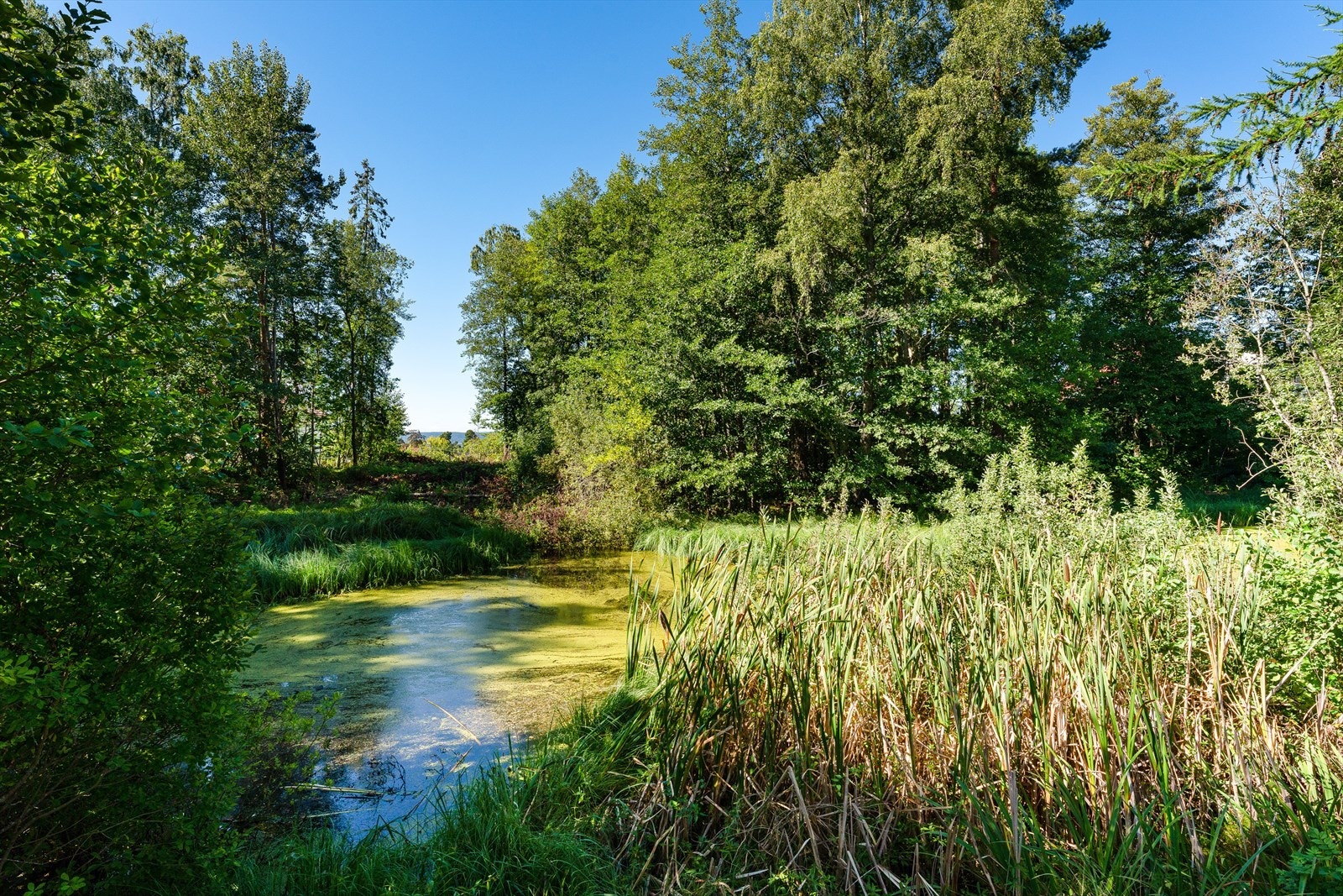 Eiendommen grenser til Postdammen, som nå nylig er regulert til naturområde. Galleribilde
