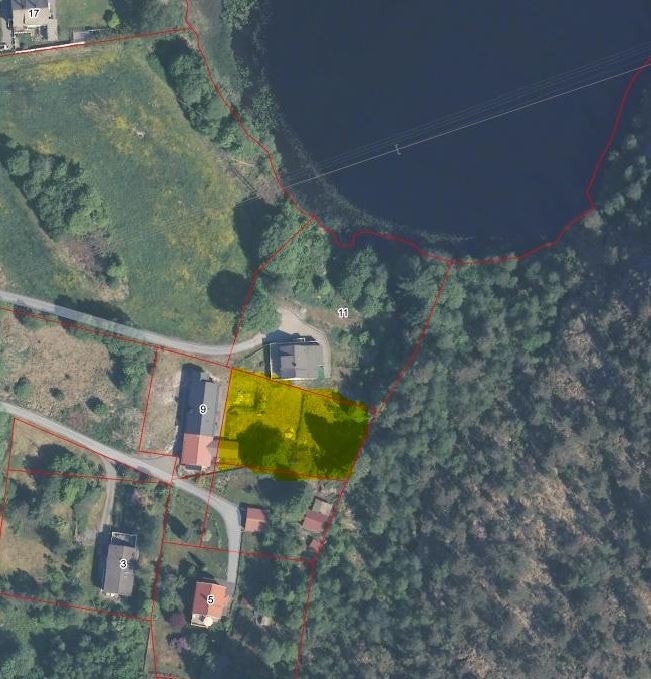 Tomten markert gul. Galleribilde