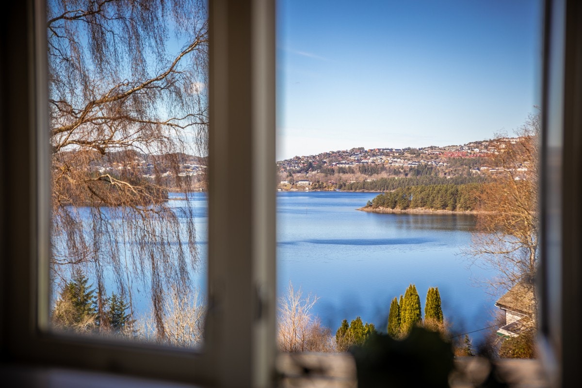 Nydelig utsikt fra stuen. Galleribilde