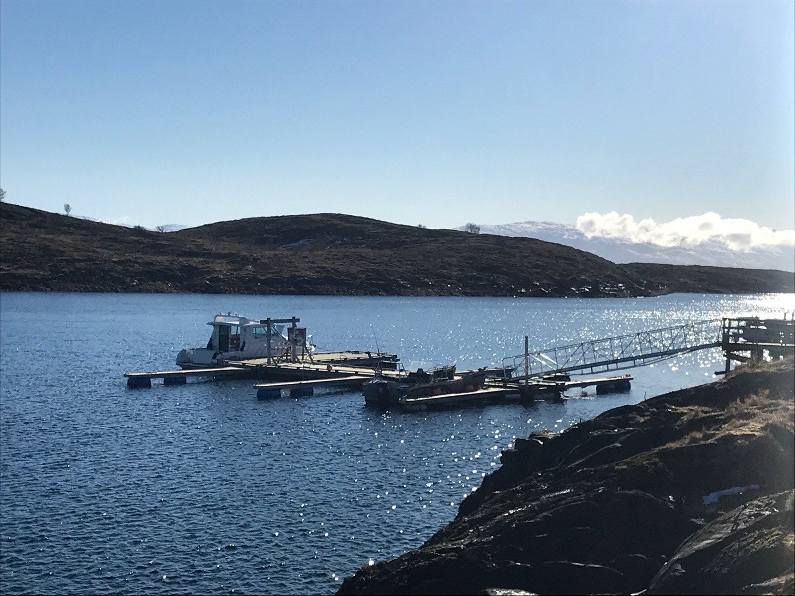 Offentlig gjestehavn. Ligger ca 200 meter fra eiendommen. Galleribilde