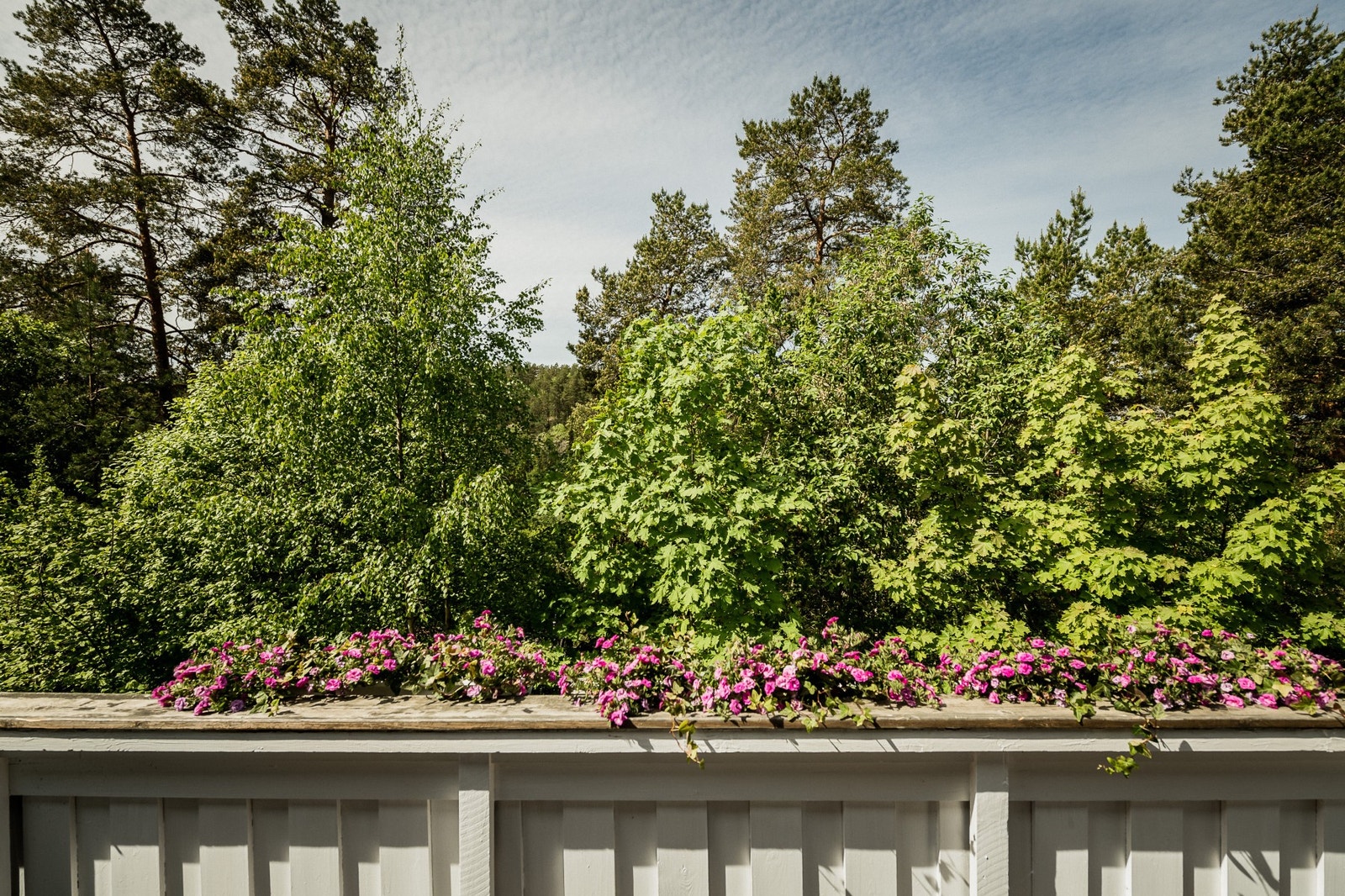 Skjermet og privat atmosfære. Galleribilde