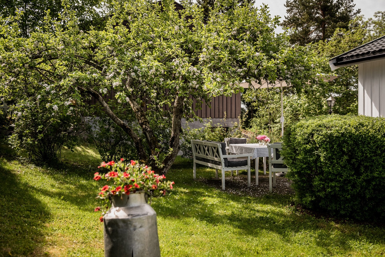 Rikelig med boltreplass. Galleribilde