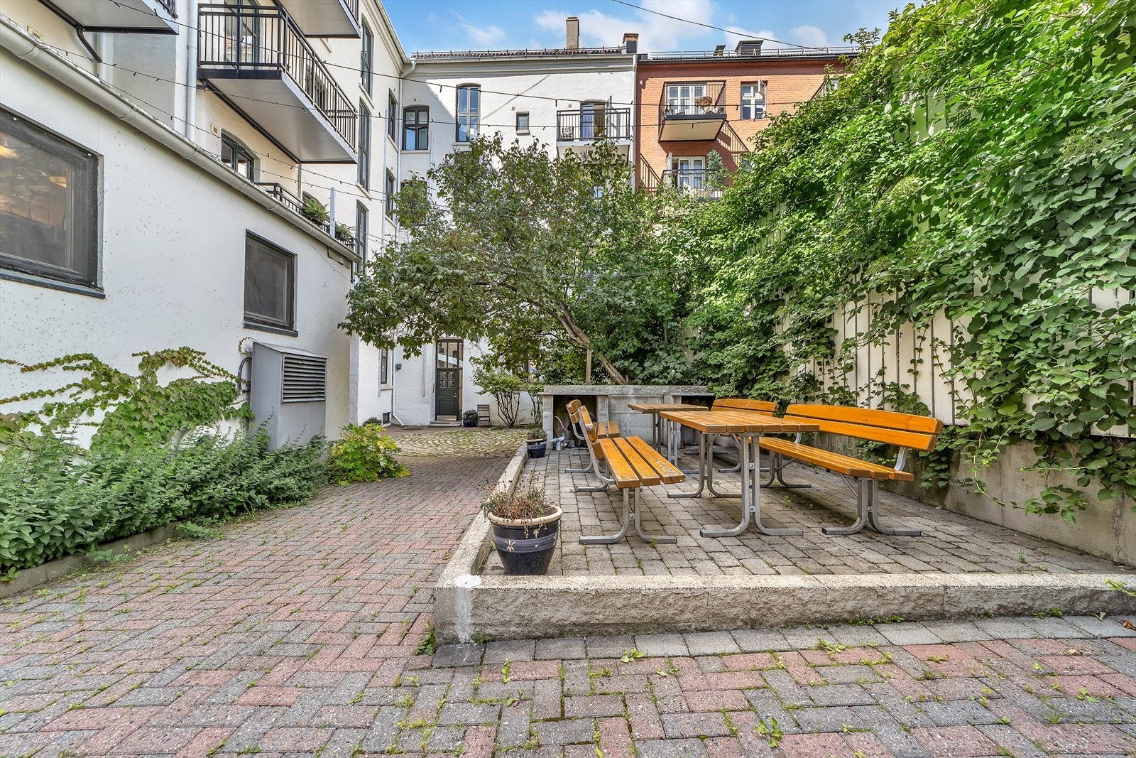 Felles bakgård. Galleribilde