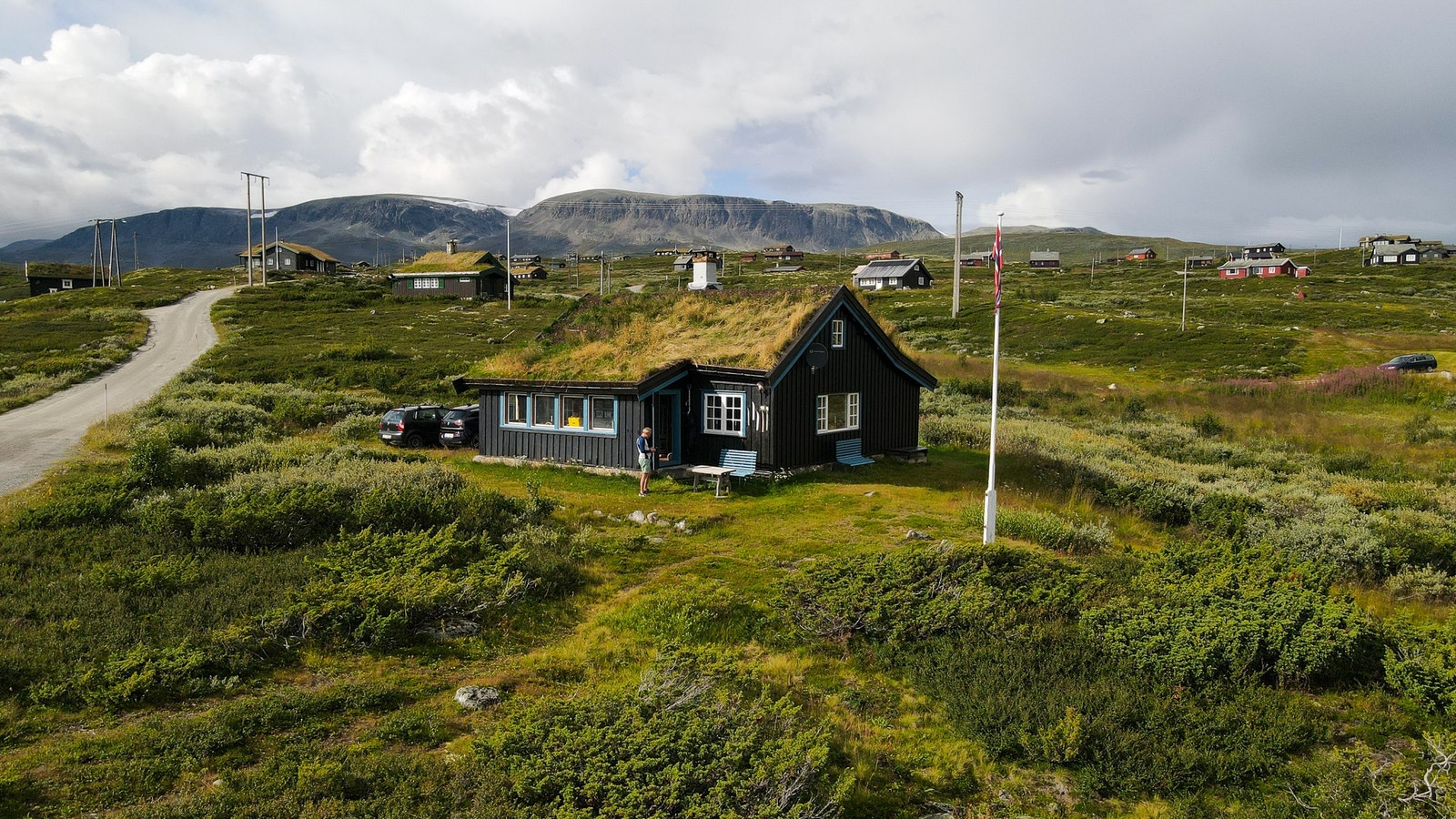 Larsbu om sommeren Galleribilde