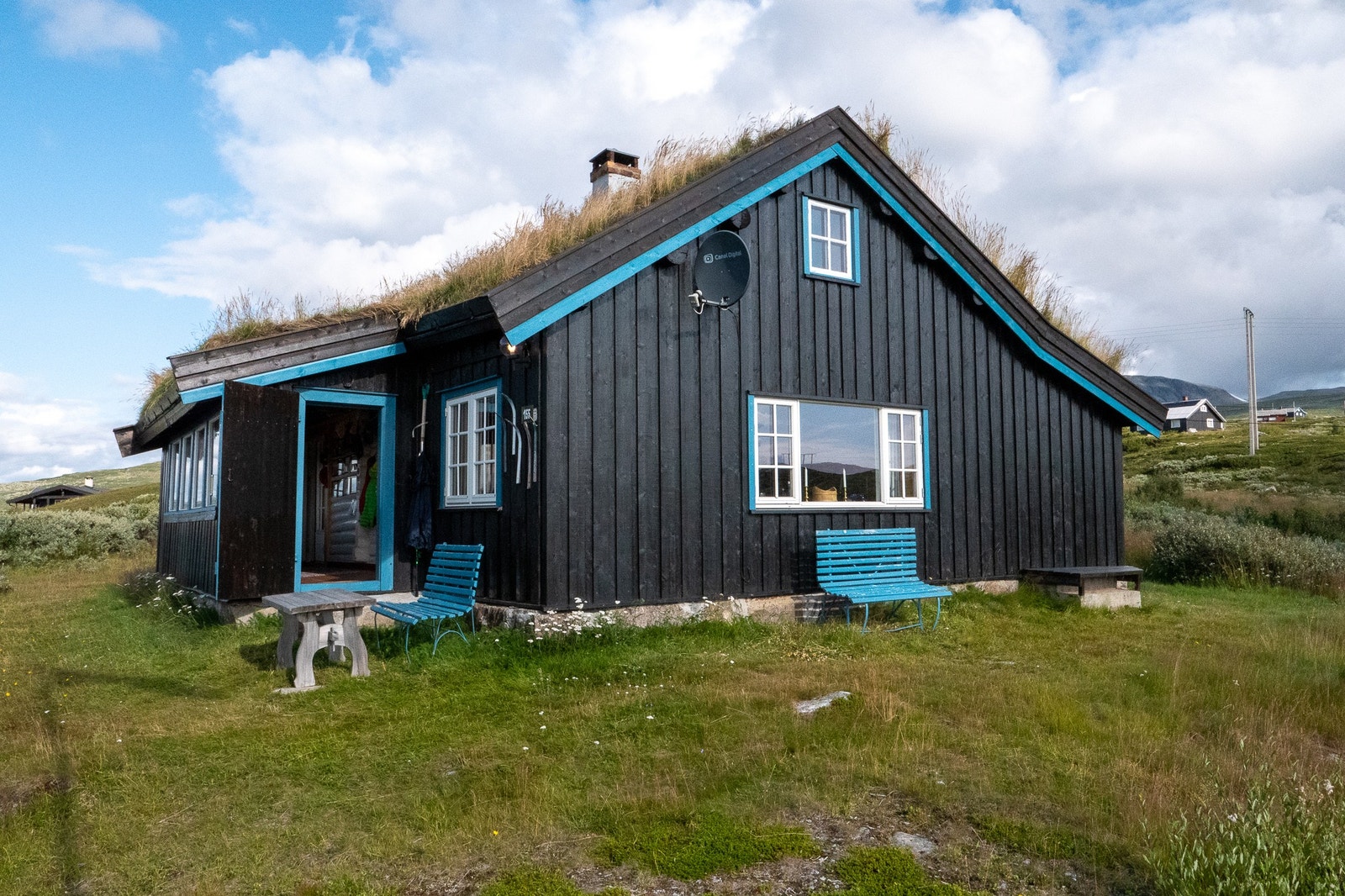 Larsbu om sommeren Galleribilde