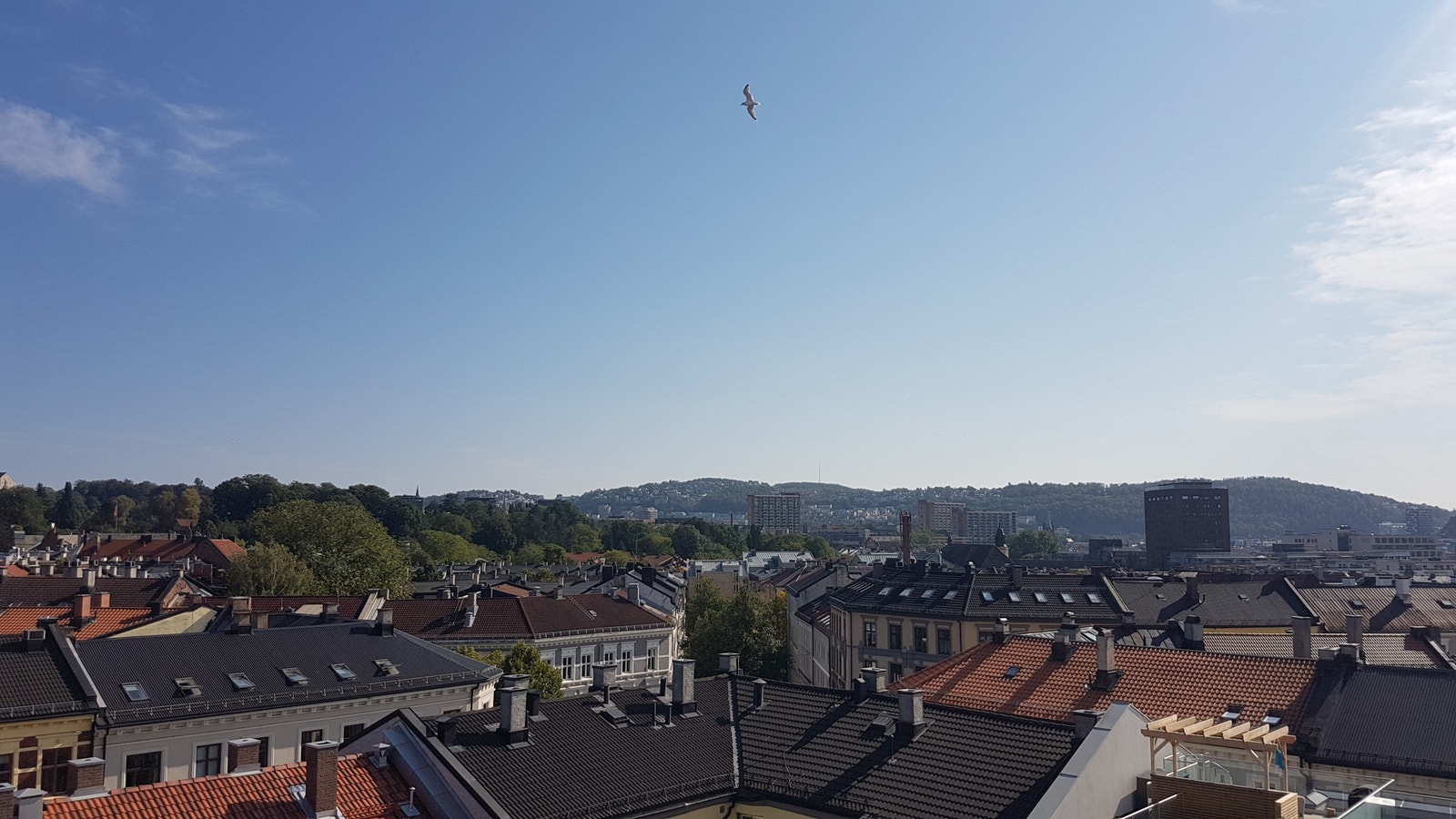 Utsikt fra felles takterrasse - 3 Galleribilde
