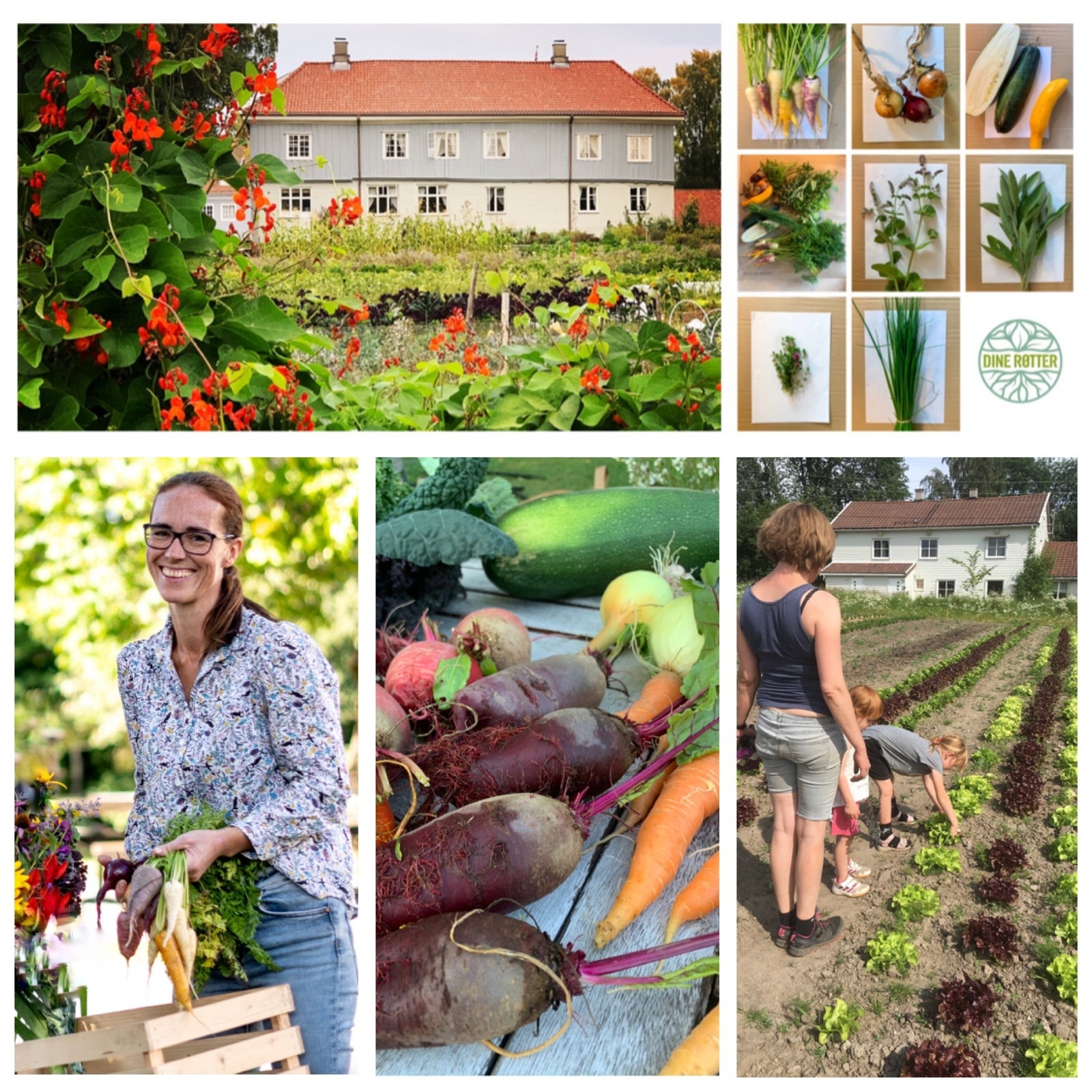 Andelslandbruket Dine Røtter er like ved boligen Galleribilde